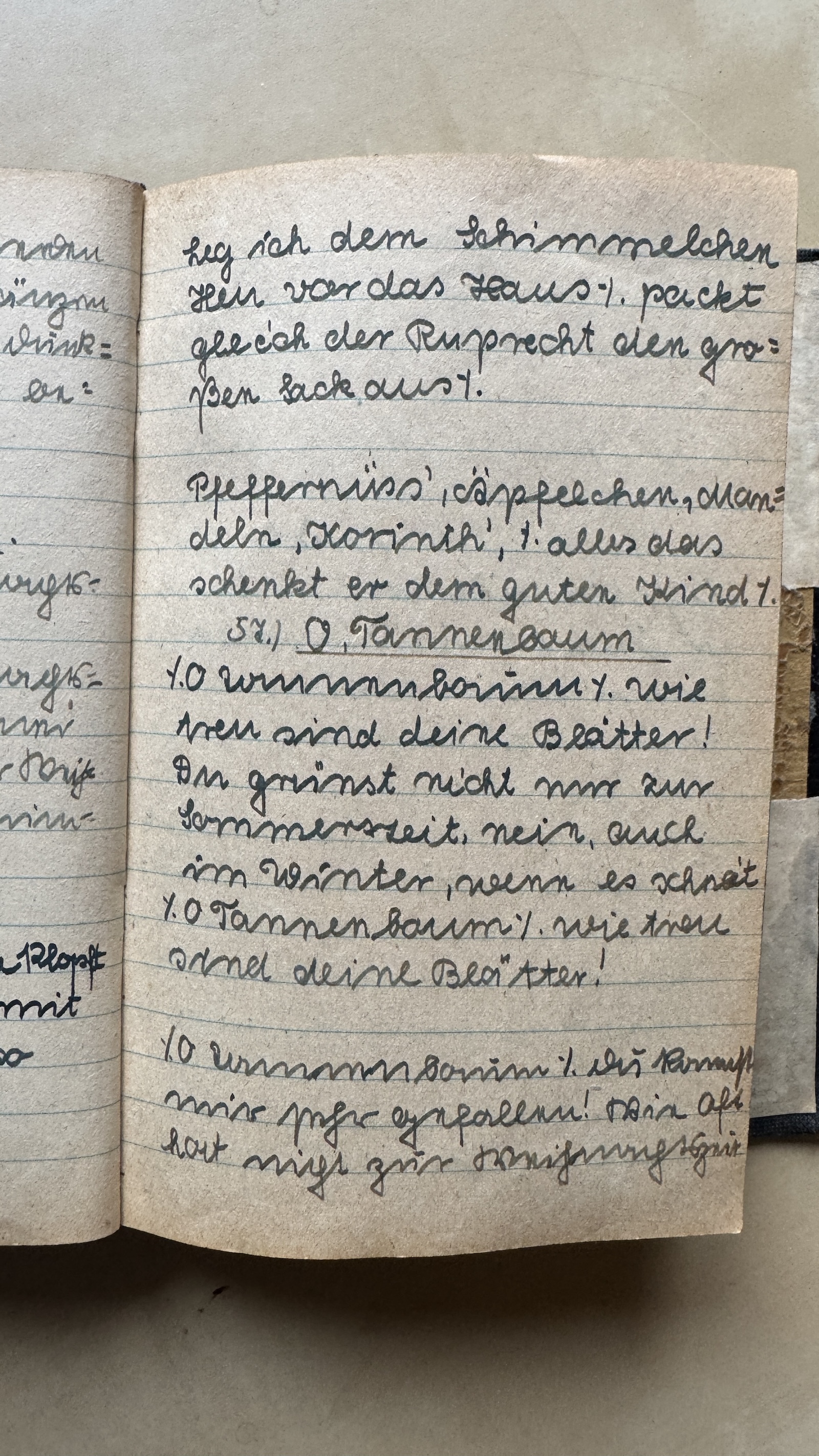 Original Liederbuch Seite 066